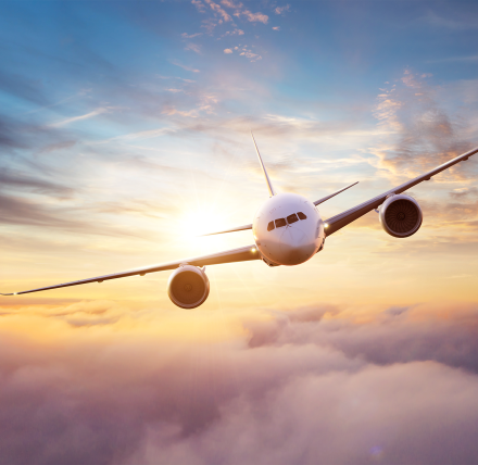 Program Requirements