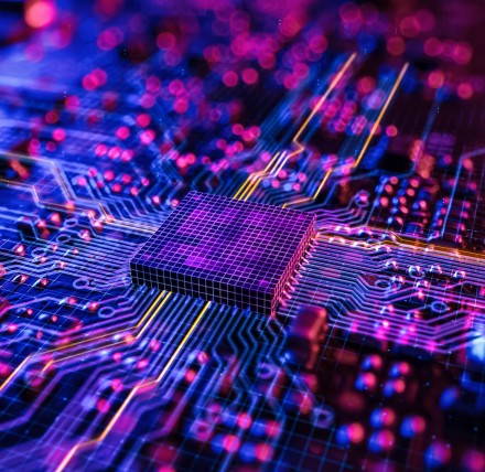 Program Requirements