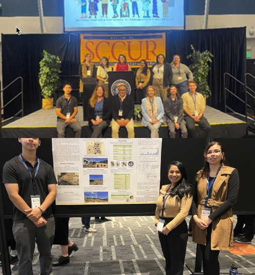 Undergraduate Research