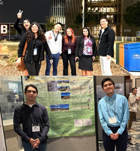 Undergraduate Research